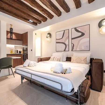 Luxury And Charm In Heart Of Place Des Vosges Apartment